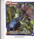 Local cover image