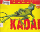 Local cover image